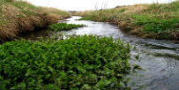 Watercourses divert urban water and create natural areas 
