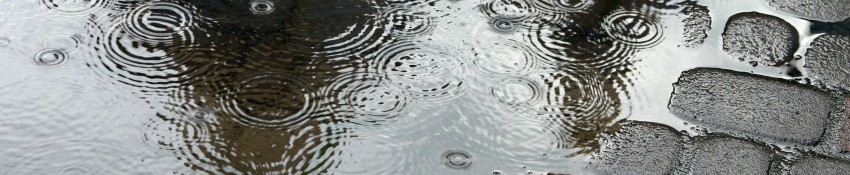 Precipitation and climate change