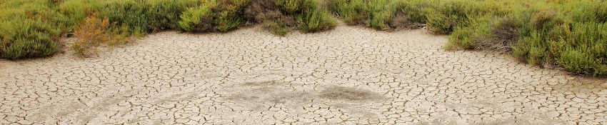 Drought and climate change 